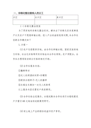 非粮化整治复核人员分工.docx