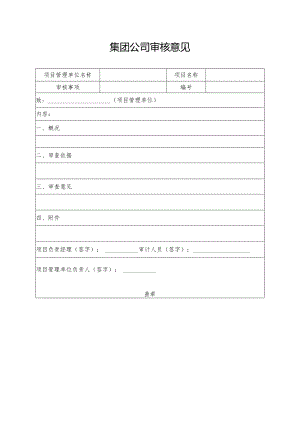 集团公司审核意见.docx
