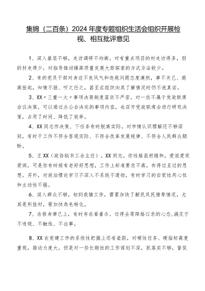 集锦（二百条）2024年度专题组织生活会组织开展检视、相互批评意见.docx