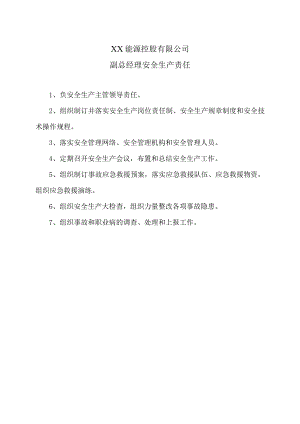 XX能源控股有限公司副总经理安全生产责任（2023年）.docx