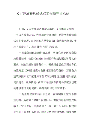 X市开展碳达峰试点工作新亮点总结.docx