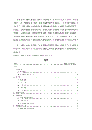 服装公司电子商务实践.docx