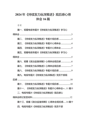 2024年《持续发力 纵深推进》观后感心得体会16篇.docx
