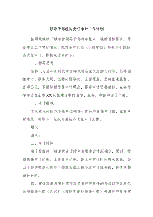 领导干部经济责任审计工作计划.docx