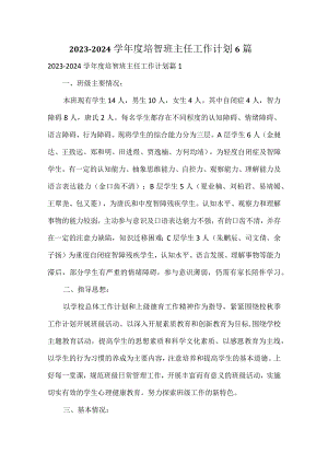 2023-2024学年度培智班主任工作计划6篇.docx