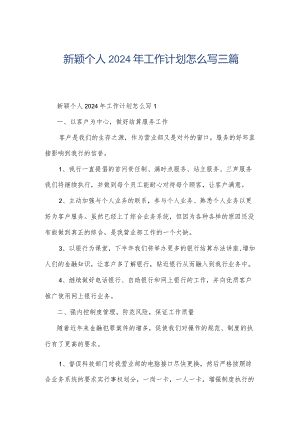 新颖个人2024年工作计划怎么写三篇.docx