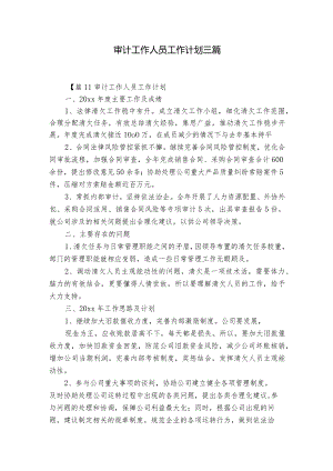 审计工作人员工作计划三篇.docx