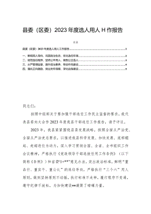 县委（区委）2023年度选人用人工作报告.docx