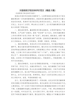 对县级班子的总体评价范文(精选3篇).docx