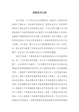 财务实习心得.docx