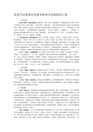 党委书记抓基层党建突破项目进展情况汇报.docx