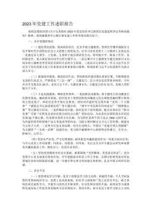 2023年党建工作述职报告.docx