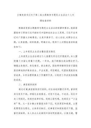 乡镇党委书记关于第二批主题教育专题民主生活会个人对照检查材料.docx