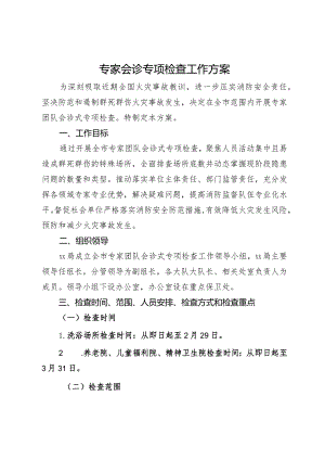 专家会诊专项检查工作方案.docx