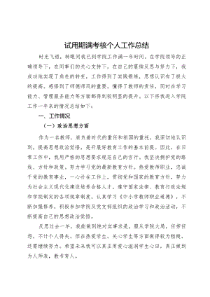 试用期满考核个人工作总结.docx