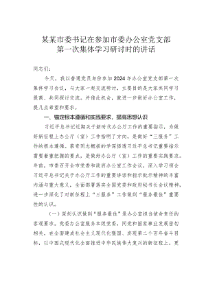 某某市委书记在参加市委办公室党支部第一次集体学习研讨时的讲话.docx
