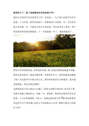 被领设计了除了直接离职没有别的路子吗？.docx