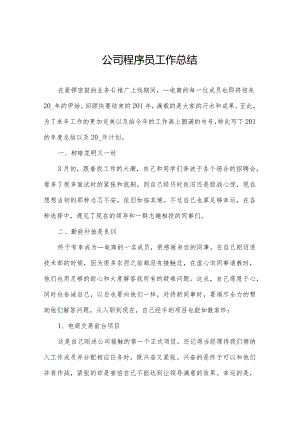 公司程序员工作总结.docx