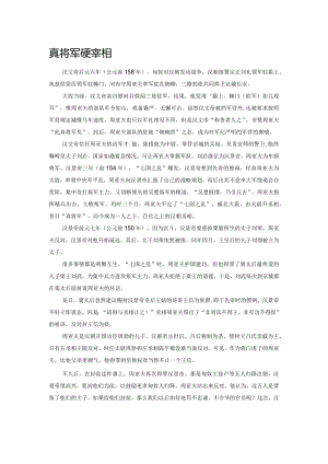 真将军硬宰相.docx