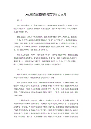 2024大学生出纳顶岗实习周记20篇.docx