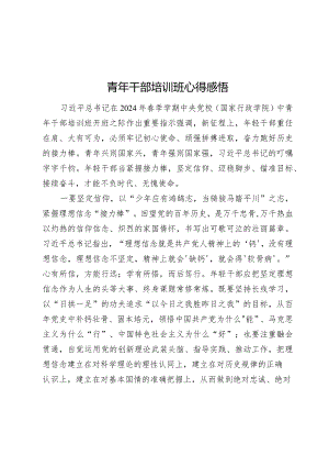 2024年青年干部培训班心得感悟.docx
