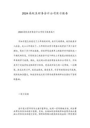 2024大学生财务会计公司实习报告-精选范文.docx