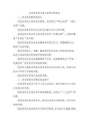 支部规范提升重点查摆问题清单.docx