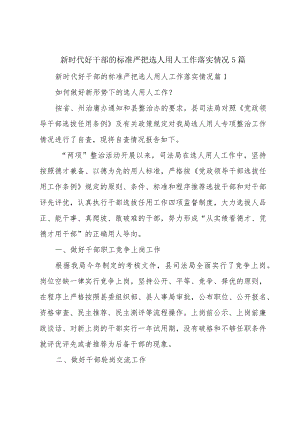 新时代好干部的标准严把选人用人工作落实情况5篇.docx