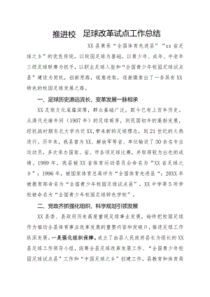 推进校园足球改革试点工作总结.docx