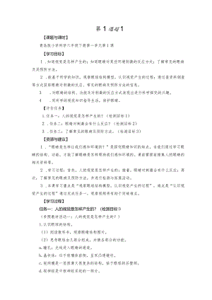 青岛版科学六年级下册第1课视觉学历案.docx