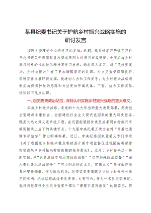 某县纪委书记关于护航乡村振兴战略实施的研讨发言.docx