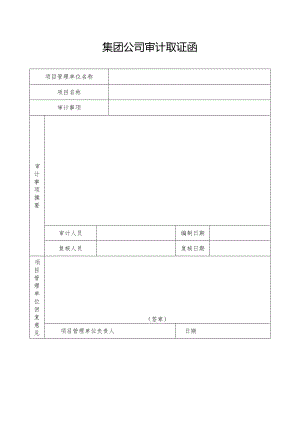 集团公司审计取证函.docx