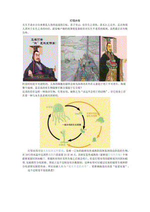 灯塔水母-长生不老水母.docx