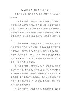领导班子主题教育的收获和体会.docx