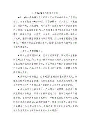 水务2024年工作要点计划.docx