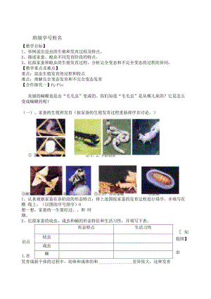 昆虫的生殖和发育导学案.docx