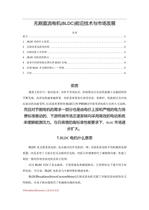 无刷直流电机(BLDC)前沿技术与市场发展.docx