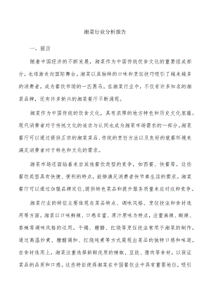 湘菜行业分析报告.docx