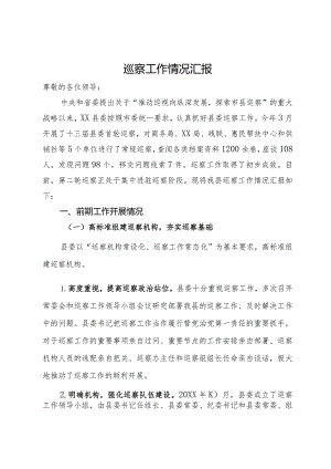 县巡察工作开展情况汇报.docx