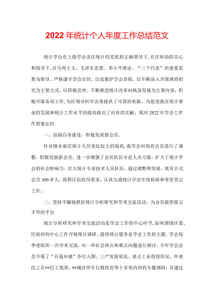 2022年统计个人年度工作总结范文.docx
