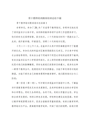 骨干教师培训跟岗培训总结5篇.docx