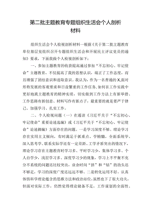 第二批主题教育专题组织生活会个人剖析材料.docx
