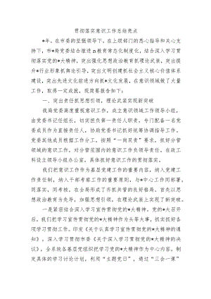 贯彻落实意识工作总结亮点.docx