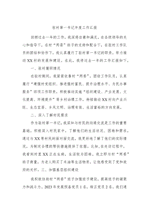 驻村第一书记年度工作汇报.docx