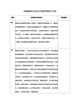 疼痛康复科项目及分级医师授权汇总表.docx