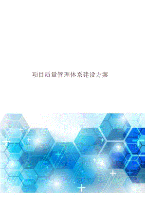 项目质量管理体系建设方案.docx