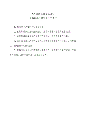 XX能源控股有限公司技术副总经理安全生产责任（2023年）.docx