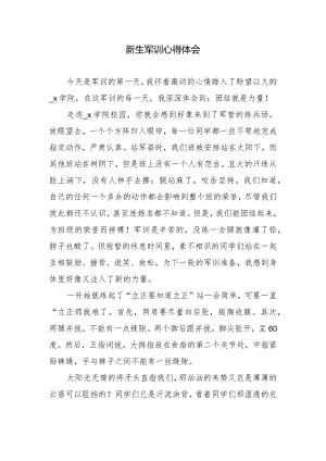 新生军训心得体会.docx
