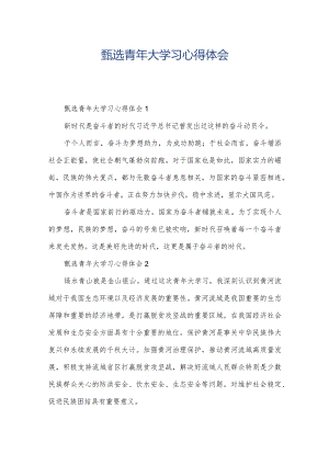 甄选青年大学习心得体会.docx