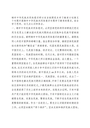 铸牢中华民族共同体意识研讨发言.docx